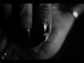 videos de mares of the day; like most roses