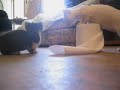 THIZZ- MINI MEW THIZZ- MINI MEW