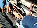 la venganza del burro totonaca