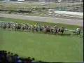 1985 (148) Premio BANESTO (OAKS ESPAÑOL) (Grupo I) (ENIX)