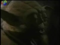 Yoda music video