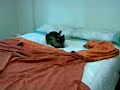 ejercicio katoloco