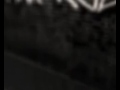 frankruler intro
