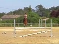 Saut d'Obstacle !