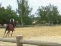 moi faisant du saut d'obstacle !