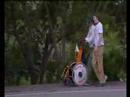 Believing In Harvey - Byron Peacewalk