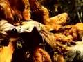 METHUSELAH (extract)