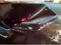 exploding whale
