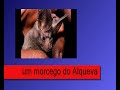 Aborto e ecologia