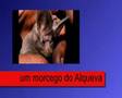 Aborto e ecologia