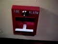 Wheelock Mt-24 LSM Fire Alarm Test (All Tones)