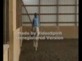 Clovercroft Footloose; For Sale