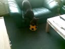 Milan met de voetbal