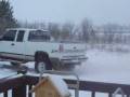 playing in the snow