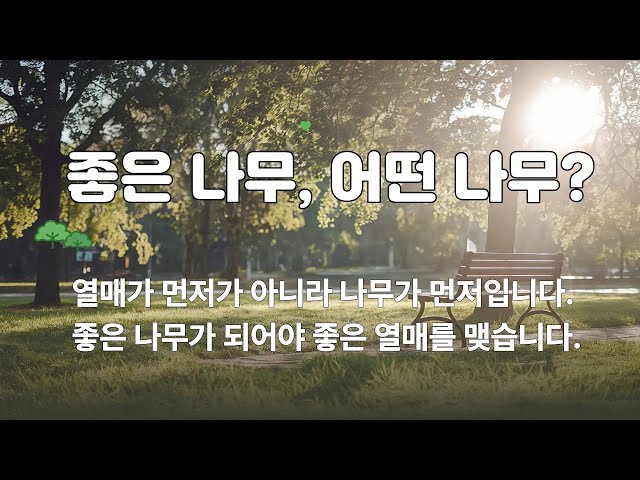 좋은 나무, 어떤 나무?(마태복음 7:15~20)