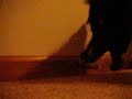 the horror of the doorstopper