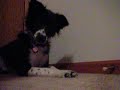 the horror of the doorstopper