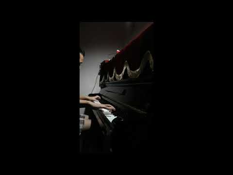 Armando's Rhumba cover by Rio Manuel