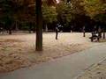 Vườn Thu Paris