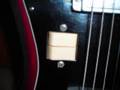 Inter-Mark Cipher Guitar