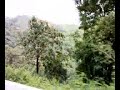 OOTY