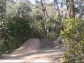 Diamo Dirt Jumping Diamo Dirt Jumping