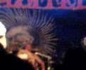 Exploited-stage-figh