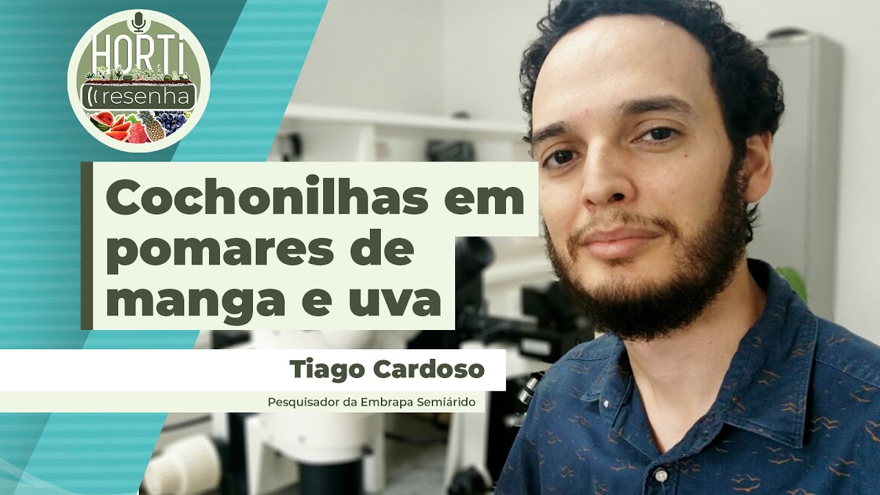 HORTI RESENHA PODCAST #78 -  Cochonilhas em pomares de manga e uva