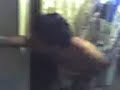 Aqui um show de putaria, muitos Gritos ...kkkkkk Aqui um show de putaria, muitos Gritos ...kkkkkk
