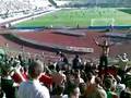 livorno frosinone cori livornesi 2009
