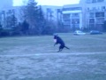 zabawy negry w sylwestra :)