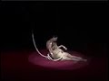 BOBROVI PRESENTED BY ART VISION PRODUCTION