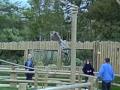 Lemur walk though