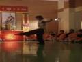 videos de david marta
