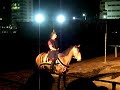 espectaculo medieval veracruz - derwyddon