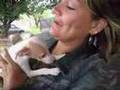 Getting Italian Greyhound Puppy