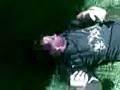 videos de fight