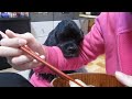 Click here to watch this video 顎乗せ①