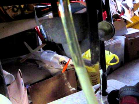 how to eliminate ethanol in gas