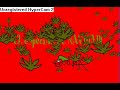 killerpollo - especial navideño
