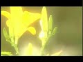 THE WACHMAN CHURCH MINISTRY/prophet azafe ministries