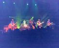 Dolphin - Shed 7