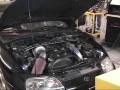 Supra Dyno-26psi