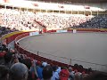 san f1   red bull pamplona