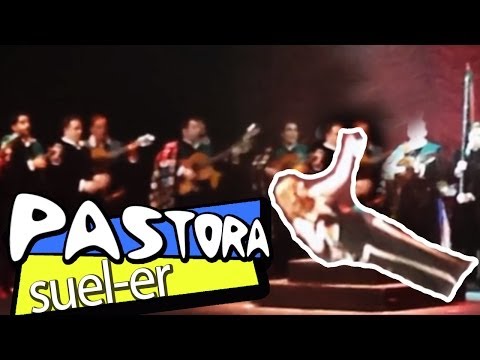 Pastora Soler se desmaya en pleno concierto (Sevilla, 8 de Marzo de 2014)