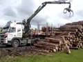 jst services,loglift 96s,volvo,timber.