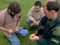 les satellites et les animaux migrateurs