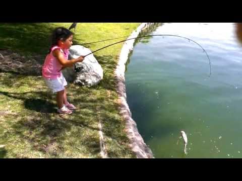 My daughters first catfish catch!