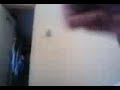 flogerr bailando electro