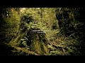Nature Sound 22 - THE MOST RELAXING SOUNDS -